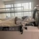 NexGen Hyperbaric Chamber For Wound Healing